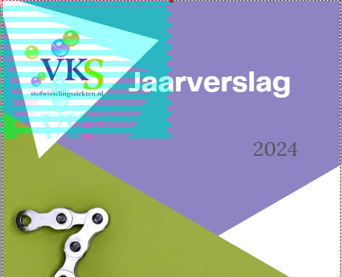 Jaarverslag 2024